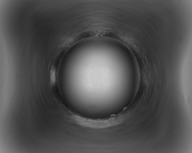 X0000084550042200703021515