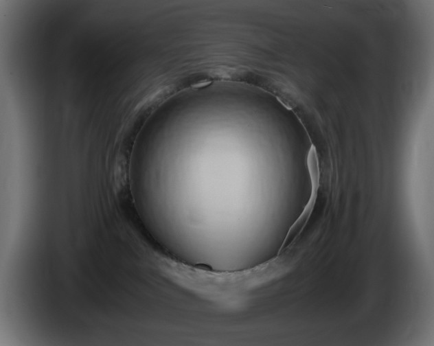 X0000084550043200703021515