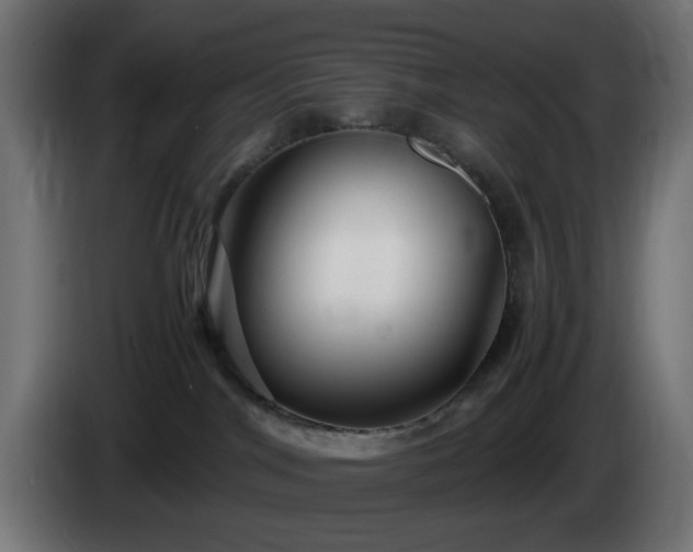 X0000084550044200703021515