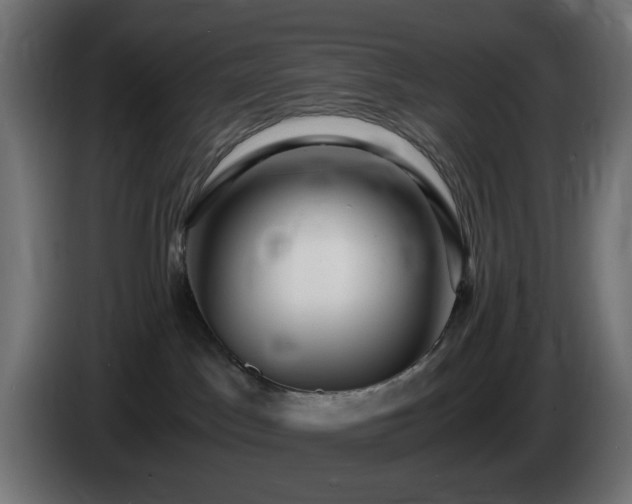 X0000084550045200703021515