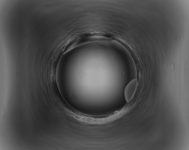 X0000084550048200703021515