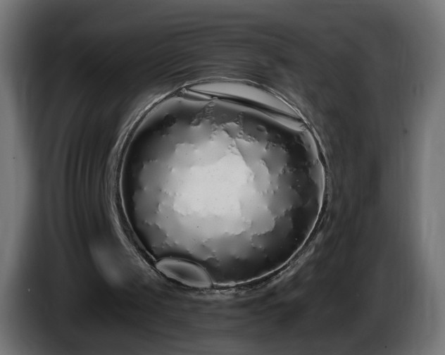X0000084550049200703021515