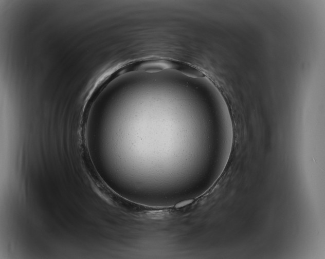 X0000084550050200703021515
