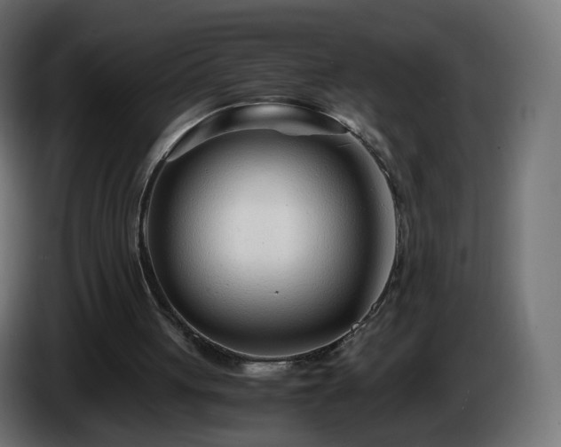 X0000084550051200703021515