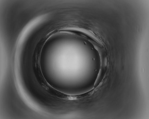 X0000084550052200703021515