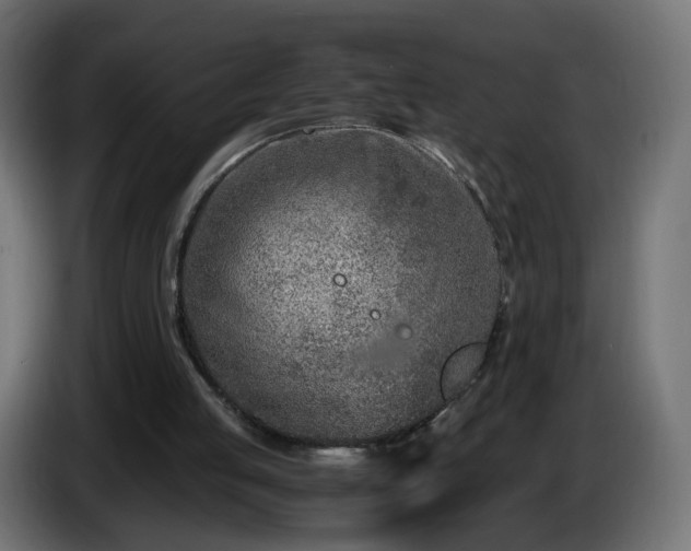 X0000084550053200703021515