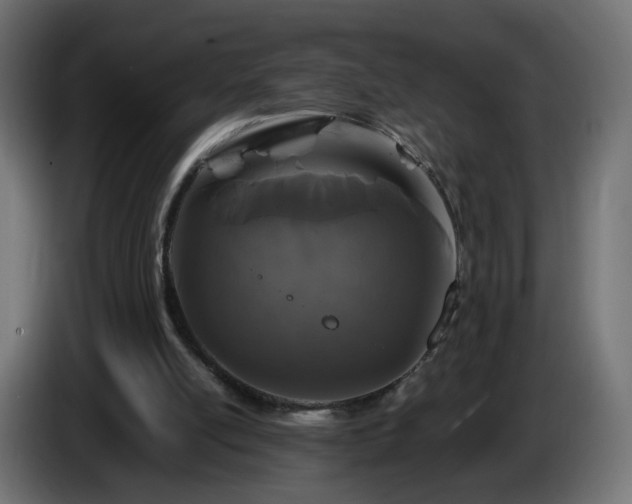 X0000084550054200703021515