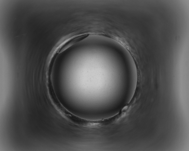X0000084550055200703021515
