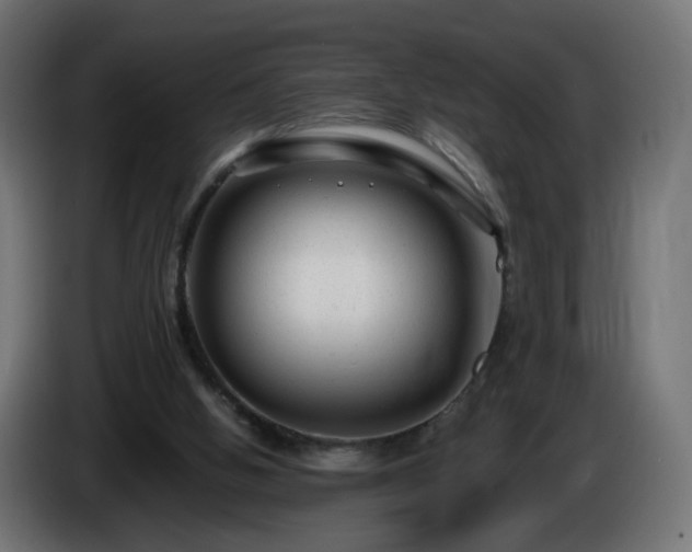X0000084550058200703021515