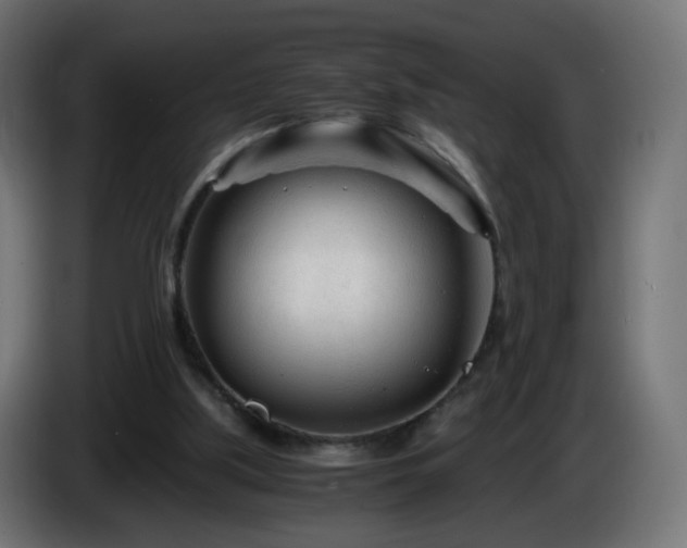 X0000084550059200703021515