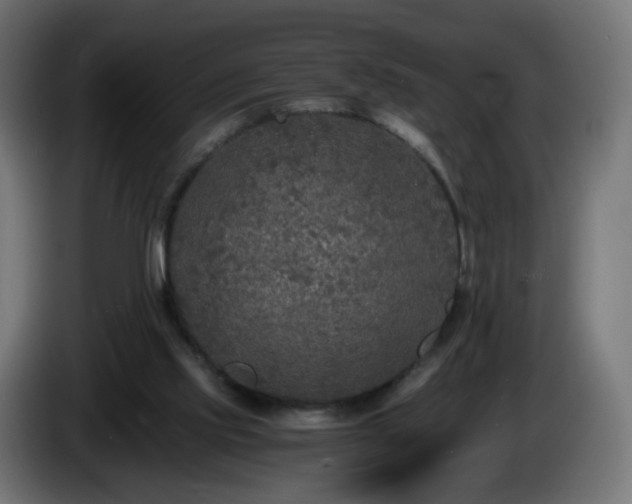 X0000084550061200703021515