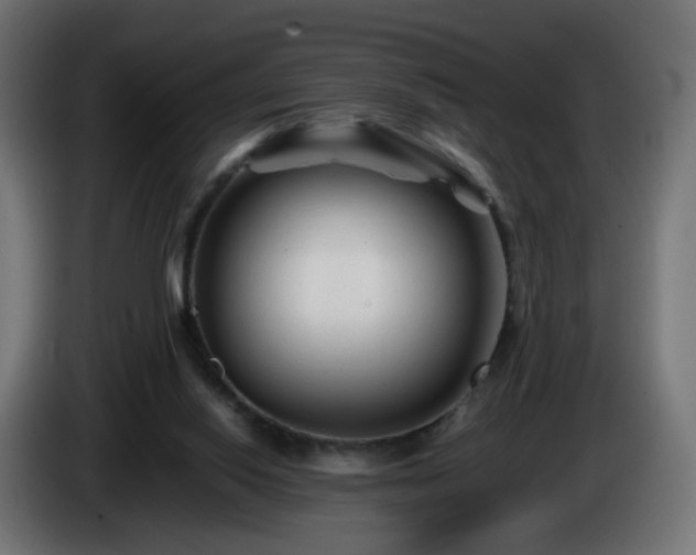 X0000084550062200703021515