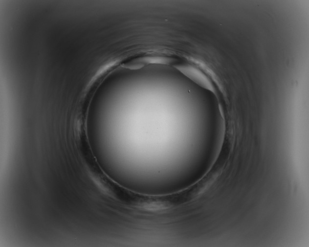 X0000084550063200703021515