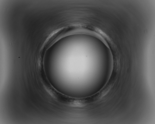 X0000084550064200703021515