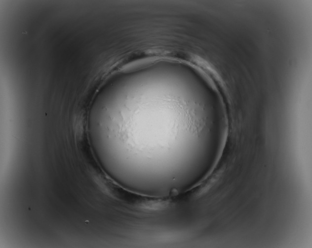 X0000084550065200703021515