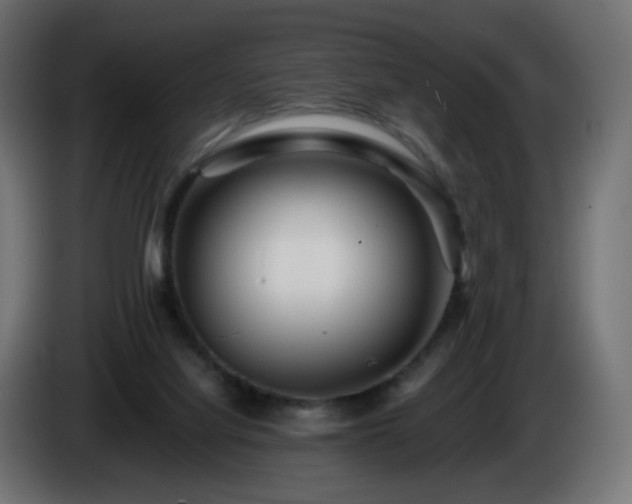 X0000084550068200703021515
