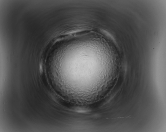 X0000084550069200703021515