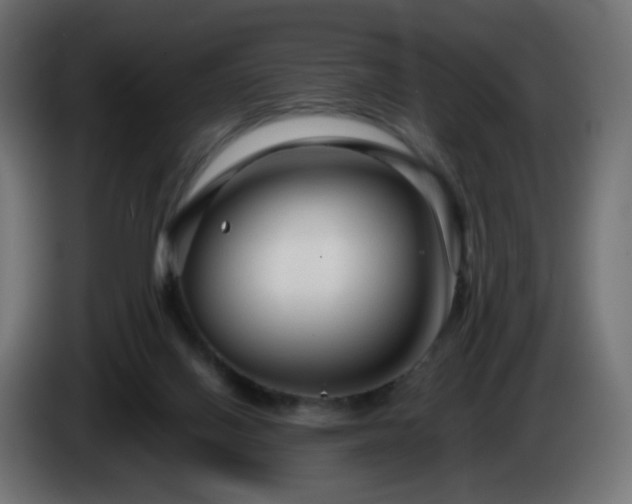 X0000084550070200703021515