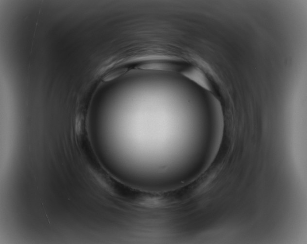 X0000084550071200703021515