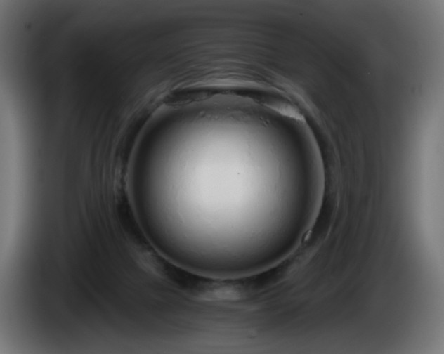 X0000084550073200703021515
