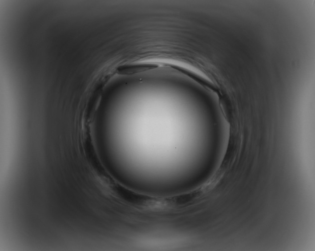 X0000084550074200703021515