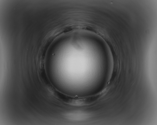 X0000084550078200703021515