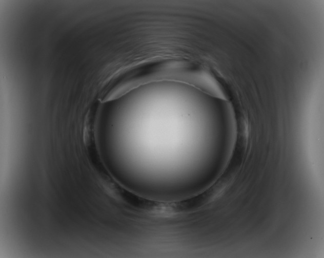 X0000084550080200703021515