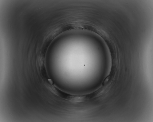 X0000084550081200703021515