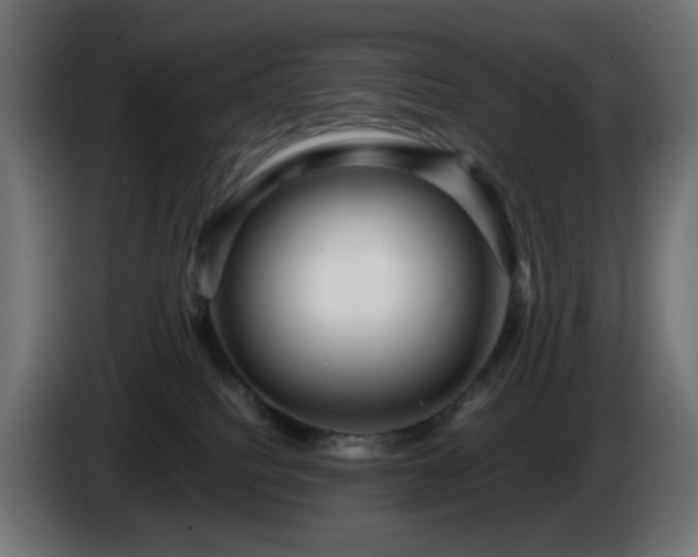 X0000084550088200703021515
