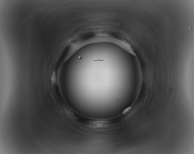 X0000084550089200703021515