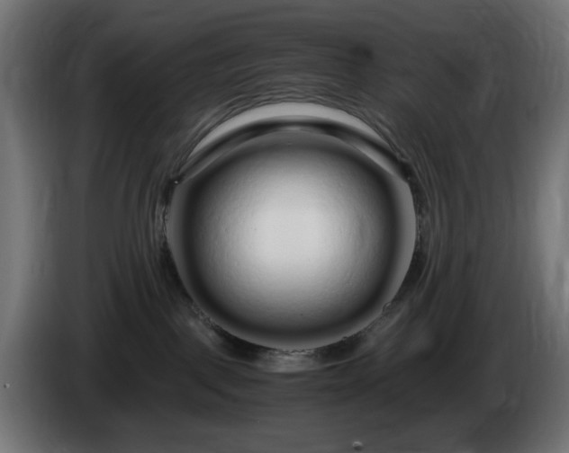 X0000084550093200703021515