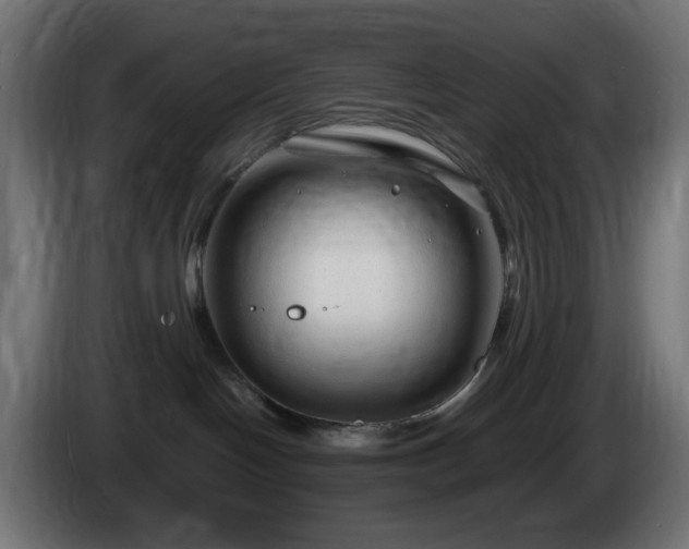 X0000084550094200703021515