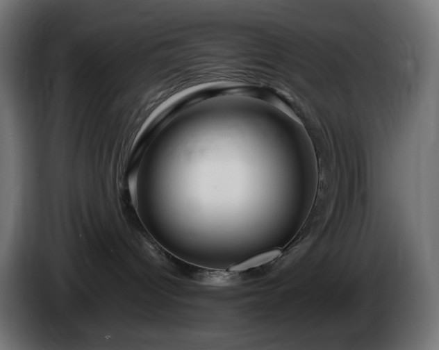 X0000084550096200703021515