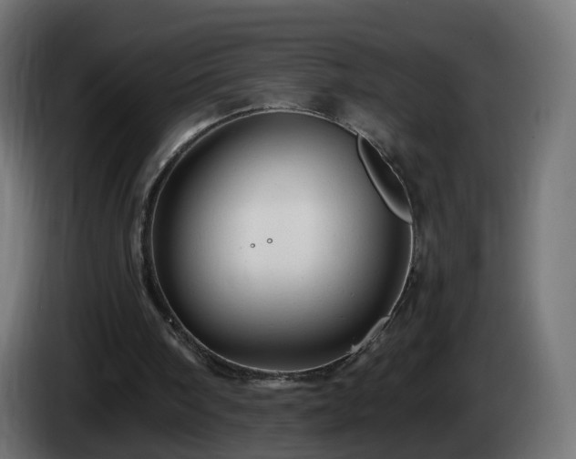 X0000084550098200703021515