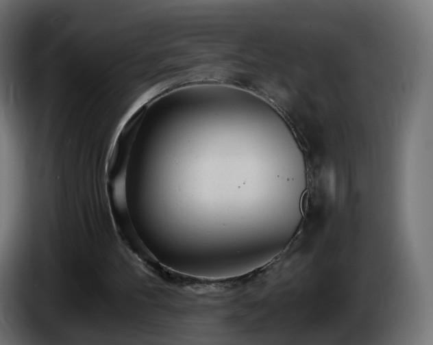 X0000084550100200703021515