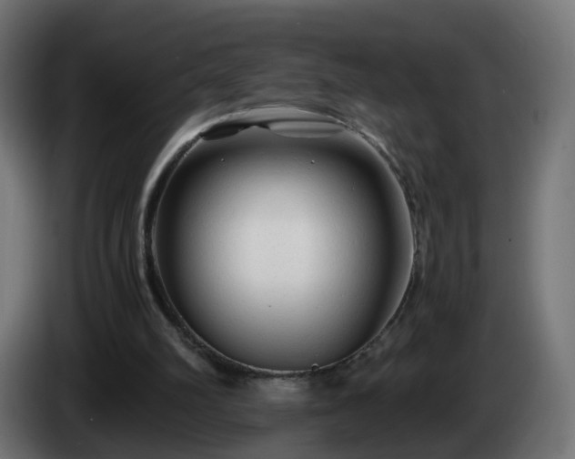 X0000084550102200703021515