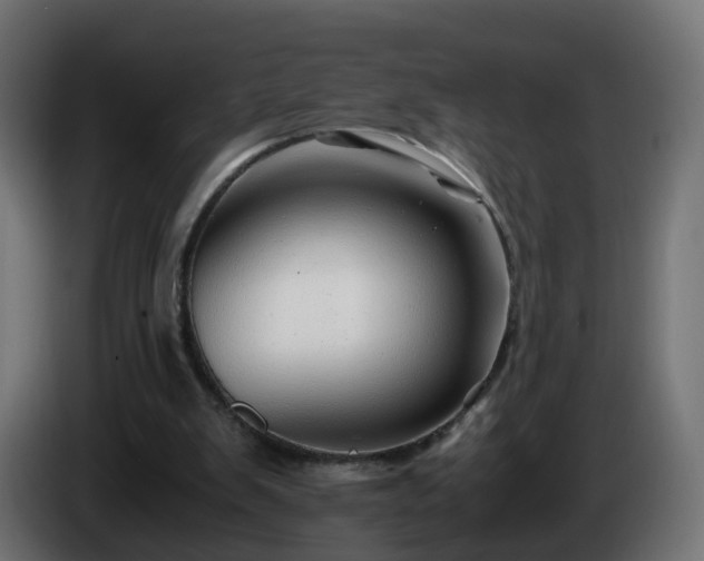 X0000084550103200703021515