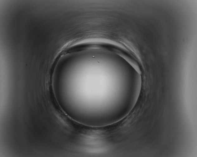 X0000084550107200703021515