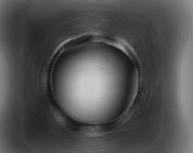 X0000084550108200703021515