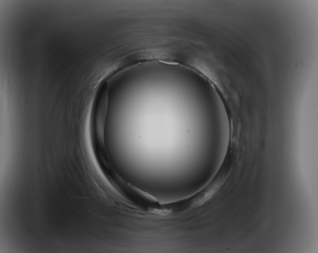 X0000084550109200703021514
