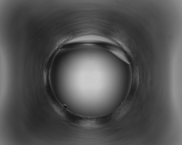 X0000084550110200703021514