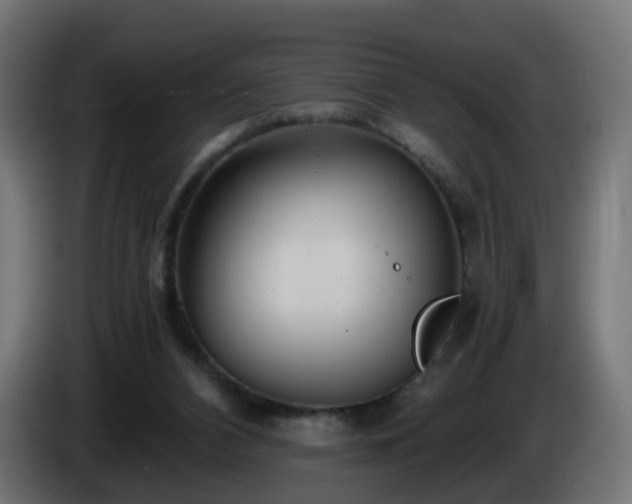 X0000084550112200703021514