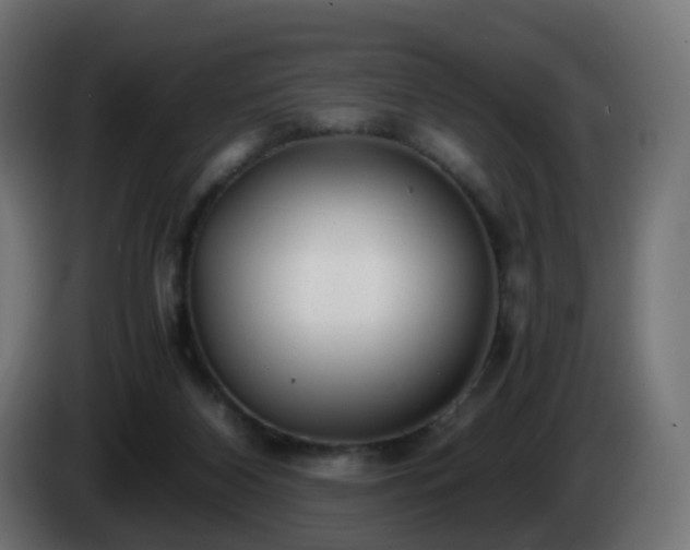 X0000084550116200703021514