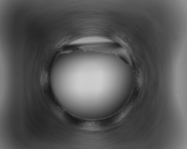 X0000084550117200703021514