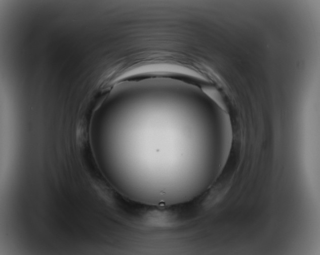 X0000084550119200703021514