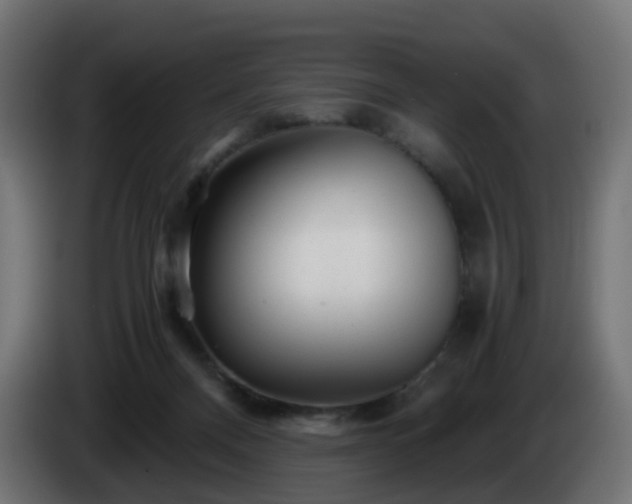 X0000084550120200703021514