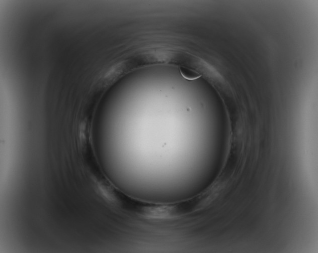X0000084550122200703021514