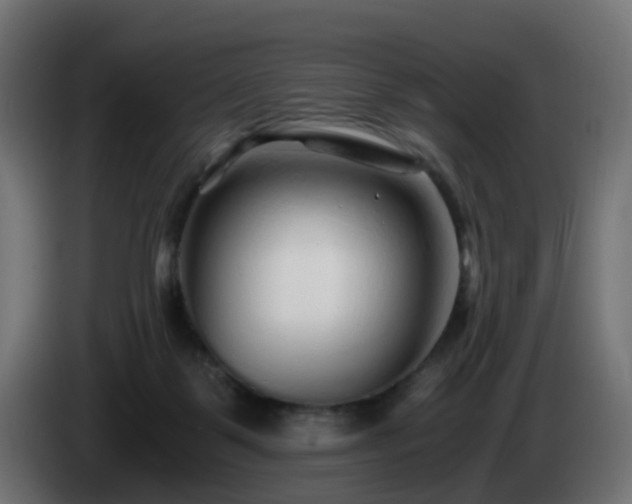 X0000084550123200703021514