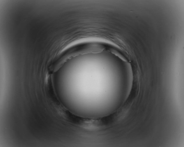 X0000084550125200703021514