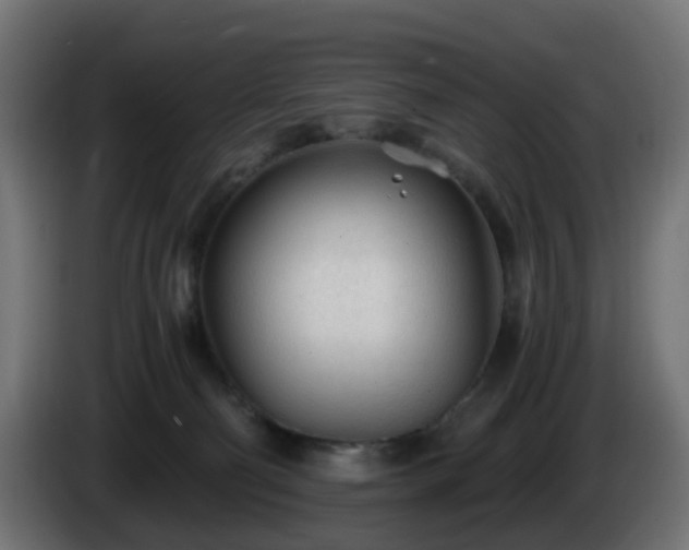 X0000084550130200703021514